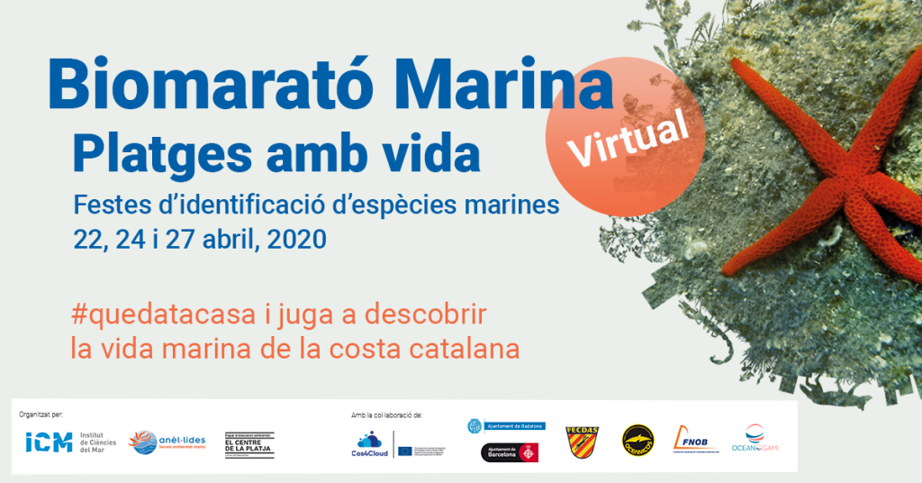 Biomarató Marina Virtual